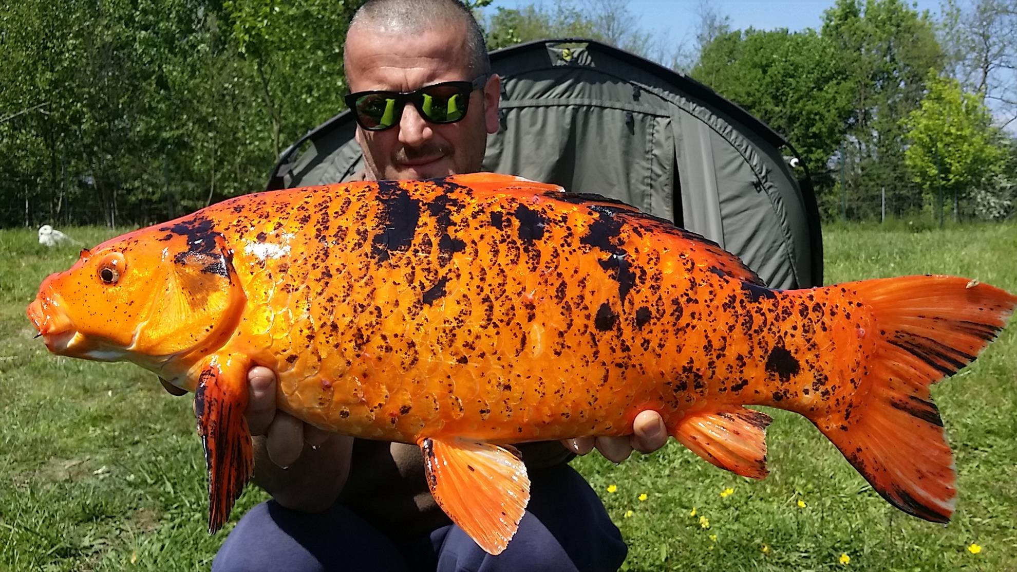 Lago Boschetto 22 - 24 aprilie 2017 - 20170423122812.jpg